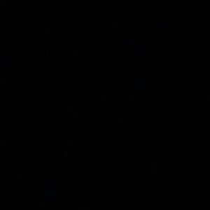 Meet your Posher, Farrah